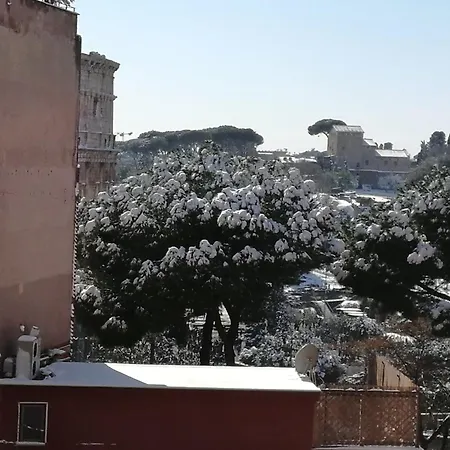 Colosseum House Jp