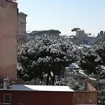 Colosseum House Jp